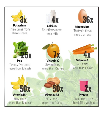 Nanosilver Moringa Concentrate Tonic - 250ml Natural Supplement"